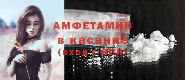 гидра Снежногорск