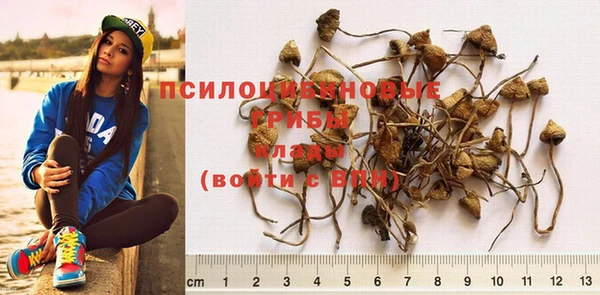 мдпв Семёнов