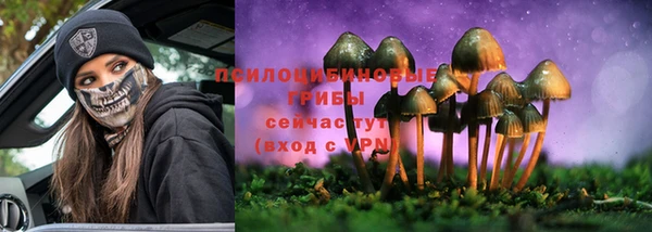 мдпв Семёнов